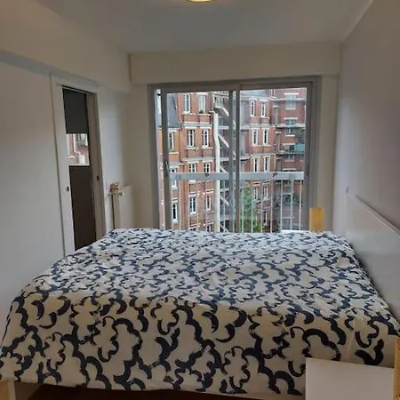 Appartement Sur Les Toits De Parijs